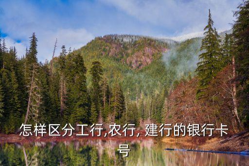 农业卡属于建行卡吗怎么查