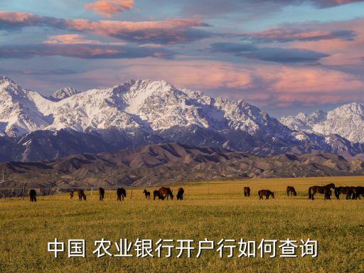 怎么查农业银行卡地址,农业银行卡明细最多查几年的