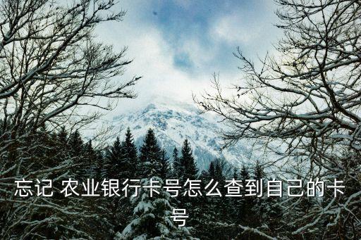 农业银行查户号怎么查询