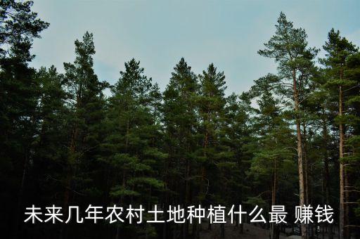 农业种植业什么前景好赚钱