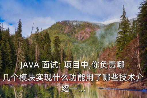 Java农业物联网项目怎么面试,java面试时要我介绍负责项目怎么说
