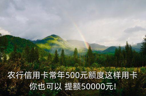 农业银行刷5万怎么提额,农行固定五万怎么提额