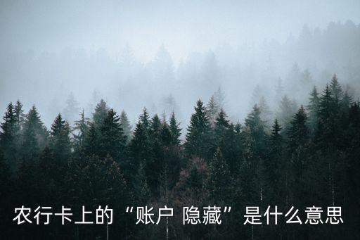 农业银行隐藏卡号怎么找,手机农业银行隐藏的卡号在哪里找