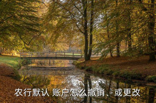 农业银行怎么修改隐藏账户