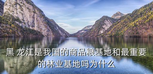 龙江现代农业怎么样,中国现代农业有限公司怎么样