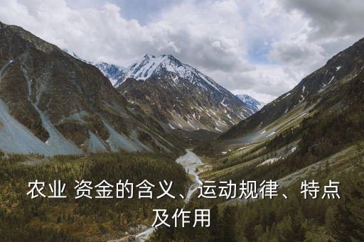 农业项目资金怎么算,骗取农业项目资金的案例