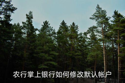 手机农业银行怎么切换账户,农业银行app如何切换账户