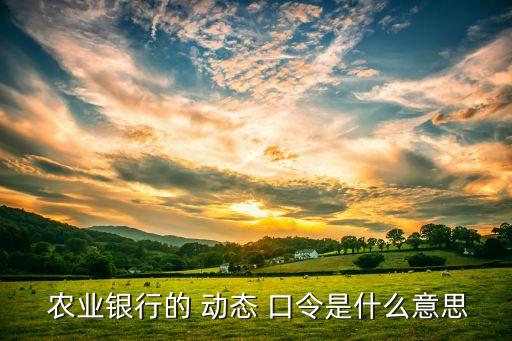 农业动态口令怎么用,农业手机银行动态口令在哪
