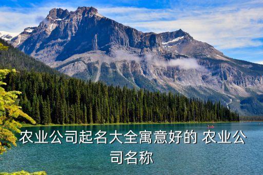农业队名字文案怎么写,抖音文案名字怎么写吸引人