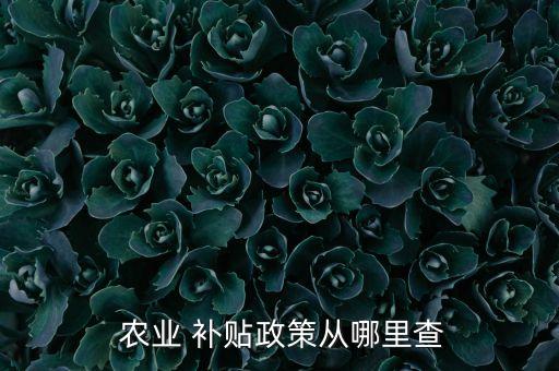 山西农业补贴怎么查询真假