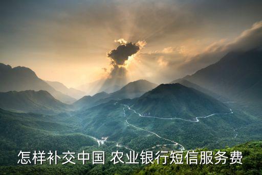 农业借记卡欠费怎么缴费,etc借记卡欠费了怎么补缴费