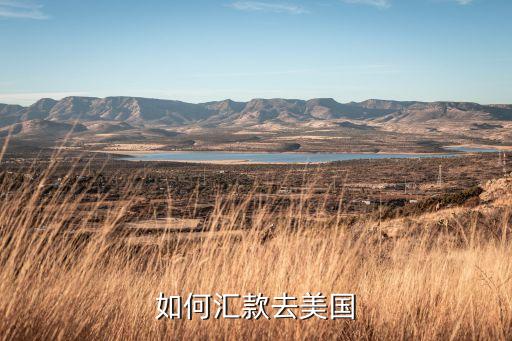农业银行电汇怎么办理