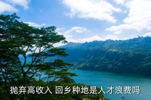 回乡农业怎么样,大学生回乡搞农业