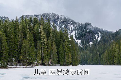 农业银行儿童医保怎么交