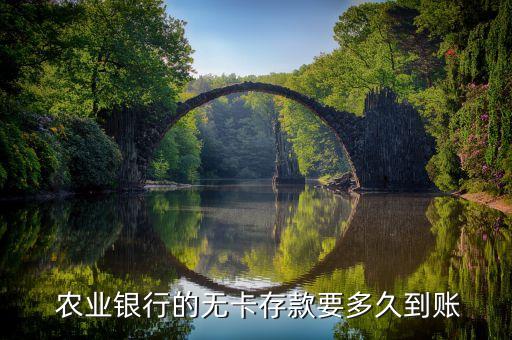 农业银行存钱延迟怎么办