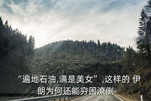伊朗农业生意怎么样,伊朗开中餐生意怎么样