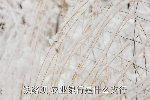 火车站农业银行叫什么分行,佛山火车站农业银行叫什么支行