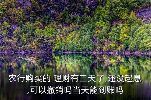 怎么取消农业银行理财,农业银行时时付理财安全吗