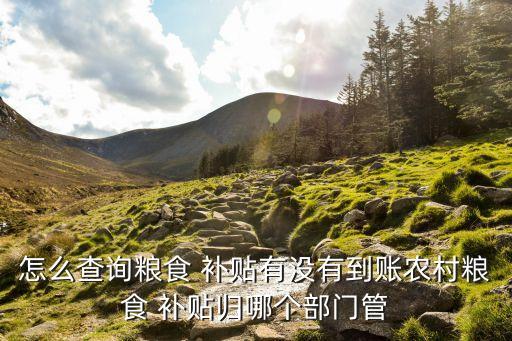 农业补贴个人帐户怎么查,手机上个人帐户怎么查