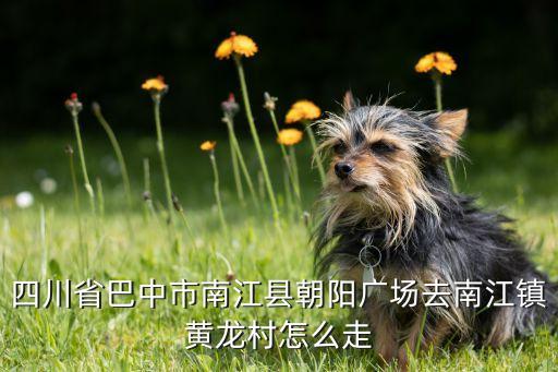 济南林盛农业怎么样,济南农业工程学院怎么样