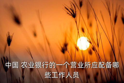 农业银行保洁属于什么职业,中国农业银行人员配备标准怎么样?...