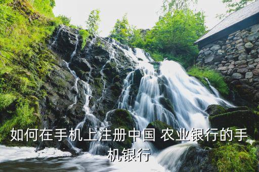 农业银行app怎么操作