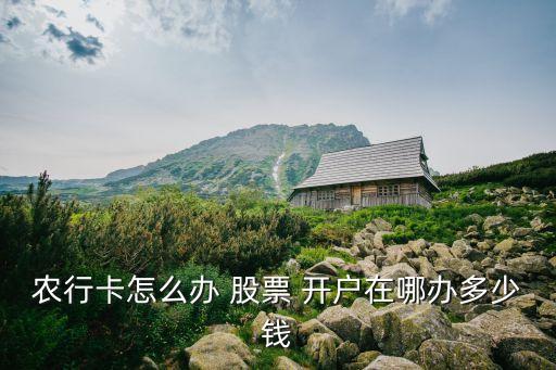 怎么开户农业银行股票帐户,农业银行股票开户属于哪个证券