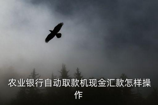 农业银行怎么自助取钱,去农业银行怎么取钱