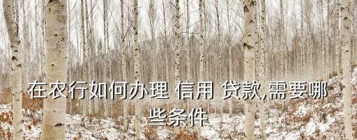 农业银行怎么申请信用贷款