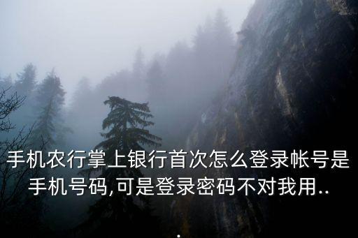 农业银行登入秘密怎么修改