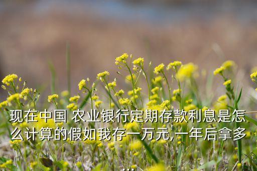 农业银行怎么收益多少,中国农业银行存款利息如何计算