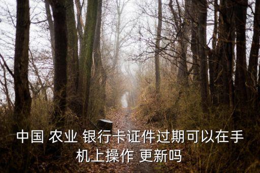 农业掌上银行是怎么更新的,怎么升级农业掌上银行