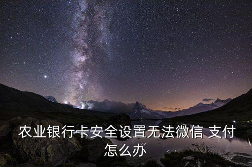 农业银行app怎么支付不了,农行掌银订单支付不了