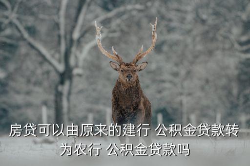 公积金转到农业银行怎么转,农业银行公积金消费贷款