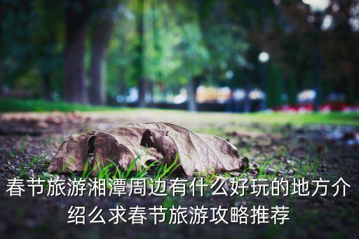 农业嘉年华住宿条件怎么样,五彩田园农业嘉年华怎么样