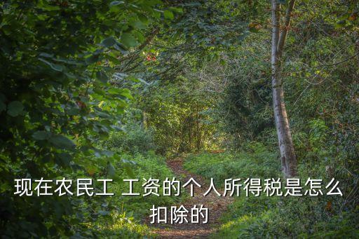 农业工人工资怎么核算,服装厂工人工资核算方法