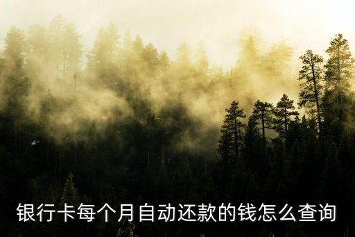 农业银行分期卡怎么查余额