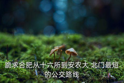 安徽农业大学北门上什么路