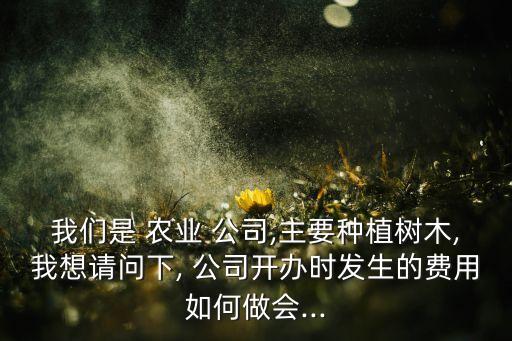 农业公司会计科目怎么写,农业果业上的会计科目