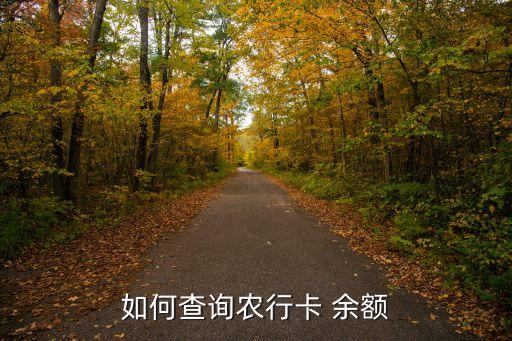 怎么查我农业银行余额,中国农业银行余额查询怎么查