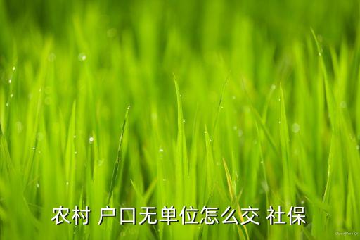 没有农业户口怎么办理社保,灵活就业人员社保条件农业户口可以办理吗