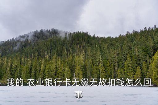 怎么查农业银行自动扣费,农业银行自动扣钱18元