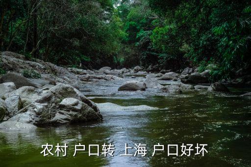 上海农业户口怎么样,上海生2胎农业户口有什么好处