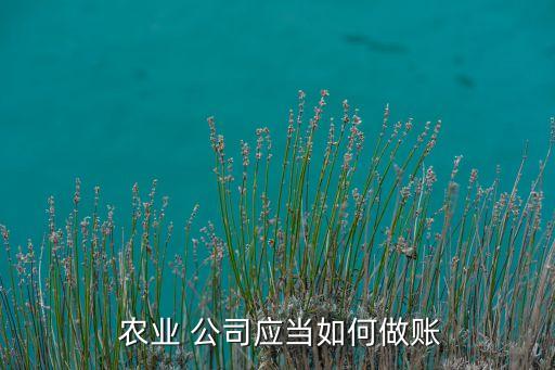 农业公司的劳务费怎么处理,公司给个人劳务费怎么处理?