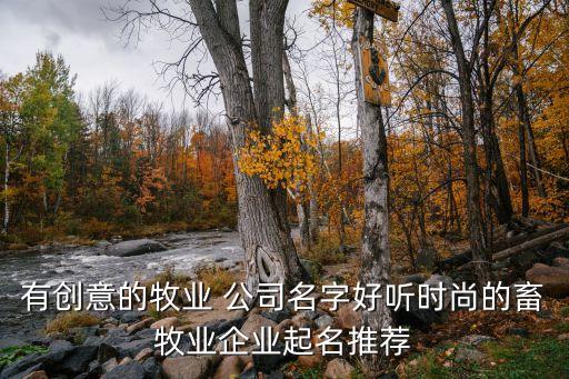 邦宁农业公司怎么样,好邦宁创可贴怎么样