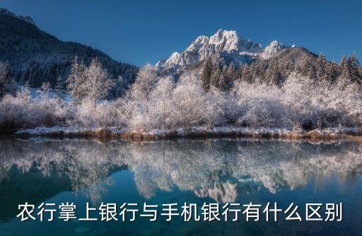 中国农业银行是什么app