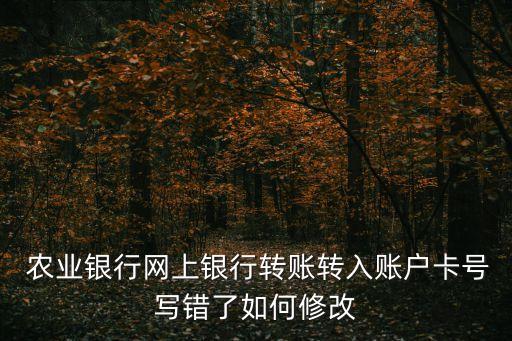 怎么更改农业网银账号,农业网银怎么安装