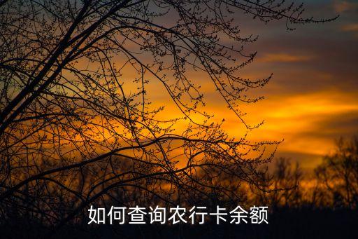 农业银行卡里钱怎么查,手机如何查农业银行卡里的钱