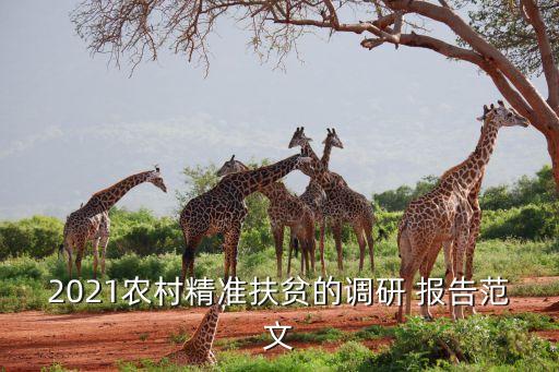 农业对标分析报告怎么写,农业项目的可行性分析报告怎么写