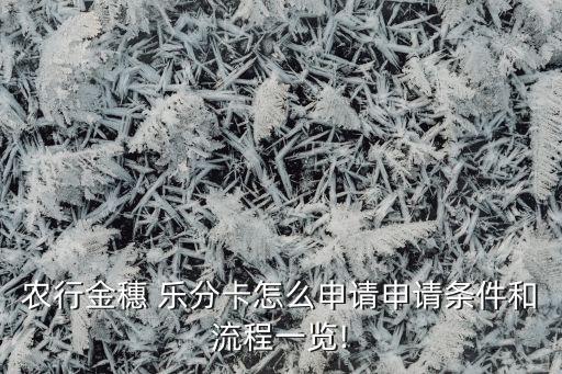 农业银行乐分卡怎么分期
